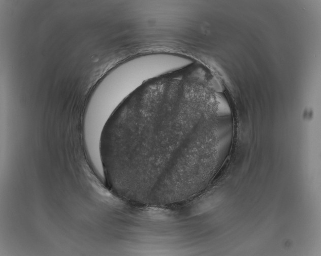 X0000091860393200709261259