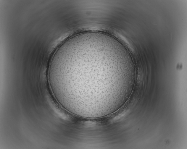 X0000091860394200709261259