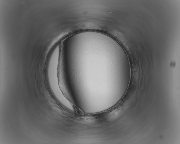 X0000091860395200709261259