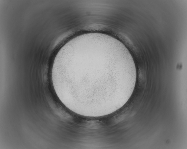 X0000091860396200709261259