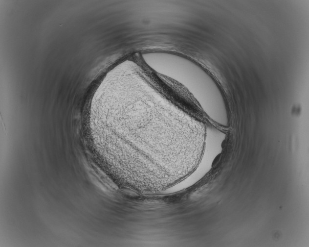 X0000091860397200709261259