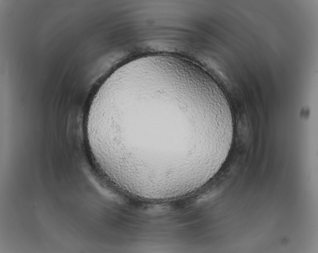 X0000091860398200709261259