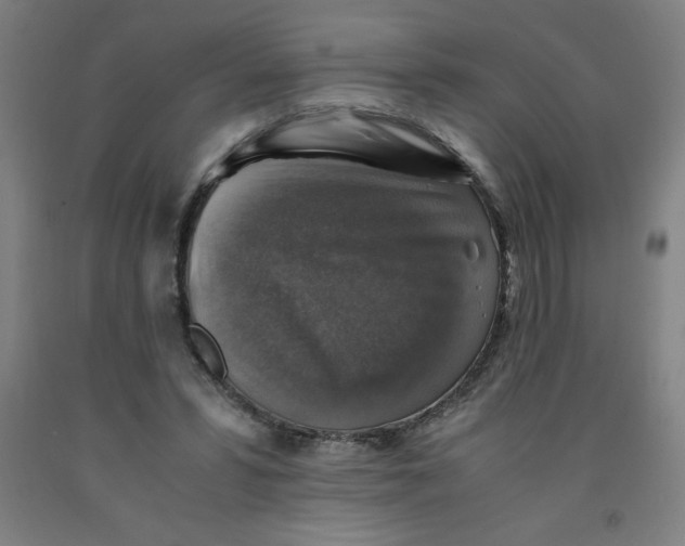 X0000091860399200709261259