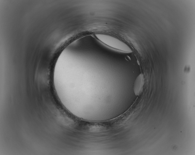 X0000091860400200709261259