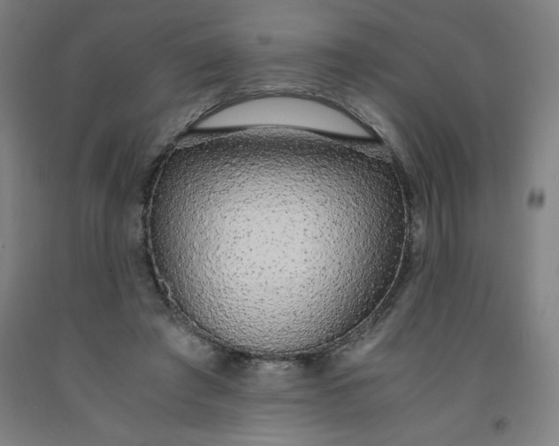 X0000091860401200709261259