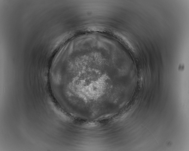 X0000091860402200709261259