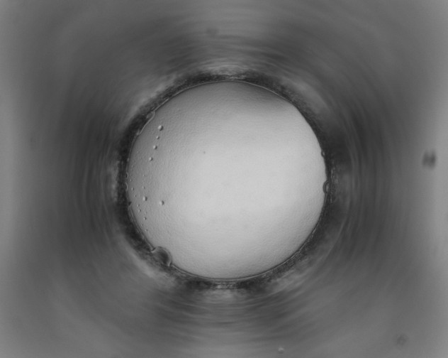 X0000091860404200709261259