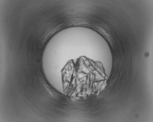 X0000091860405200709261259