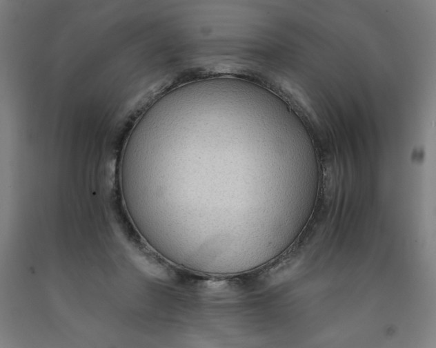 X0000091860406200709261259