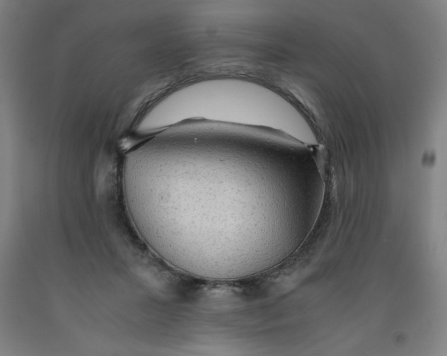 X0000091860407200709261259