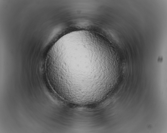 X0000091860408200709261258