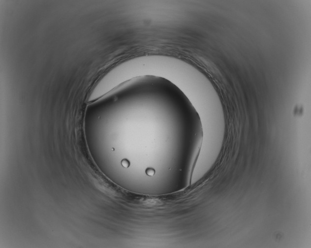 X0000091860409200709261258