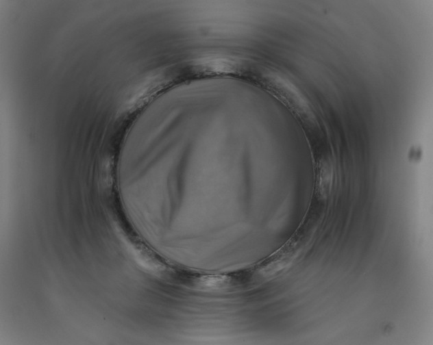 X0000091860410200709261258