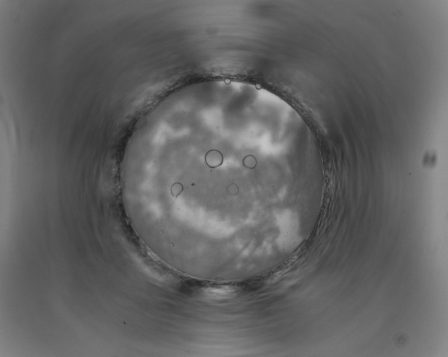 X0000091860411200709261258