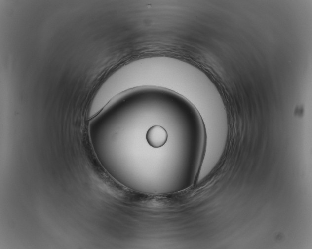 X0000091860412200709261258