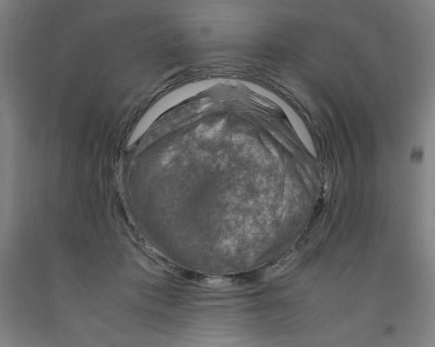 X0000091860413200709261258