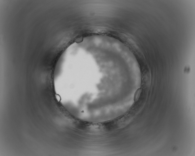 X0000091860415200709261258