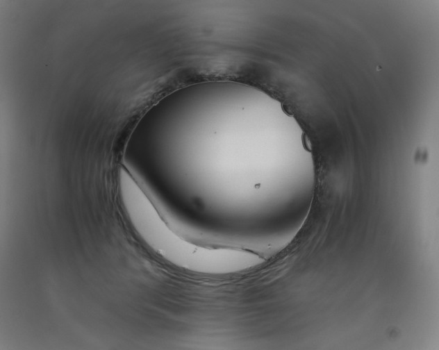 X0000091860416200709261258