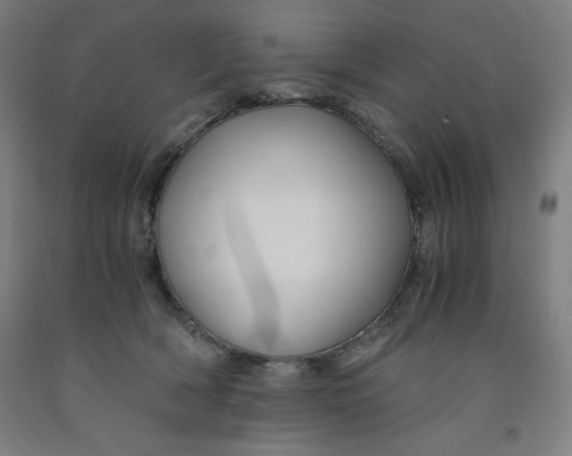 X0000091860418200709261258