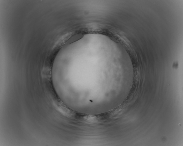 X0000091860419200709261258