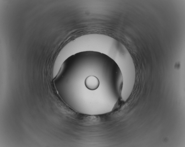 X0000091860421200709261258