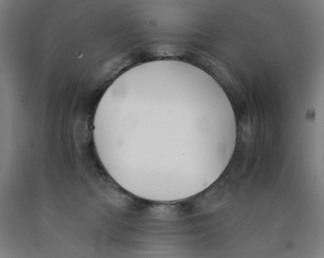 X0000091860422200709261258