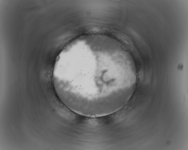 X0000091860423200709261258