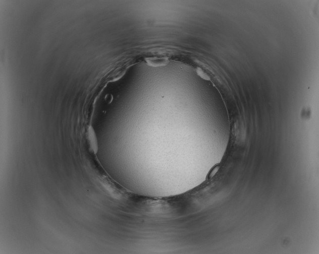 X0000091860424200709261258