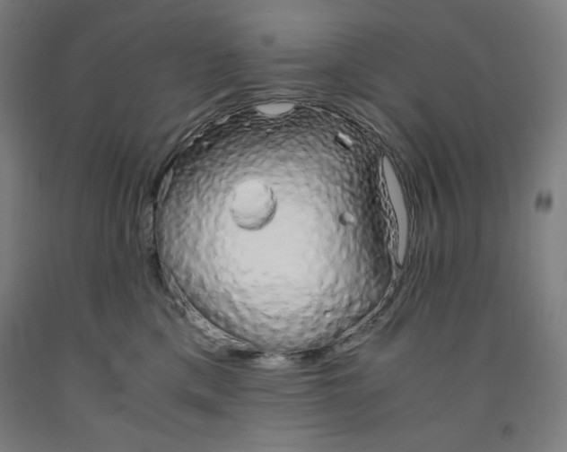 X0000091860425200709261258