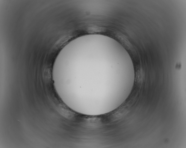 X0000091860426200709261258