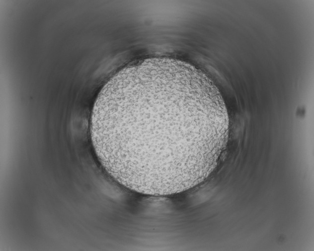 X0000091860427200709261258