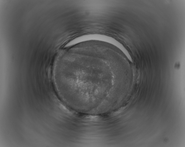 X0000091860428200709261258