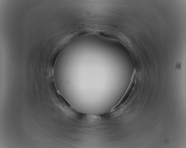 X0000091860429200709261258