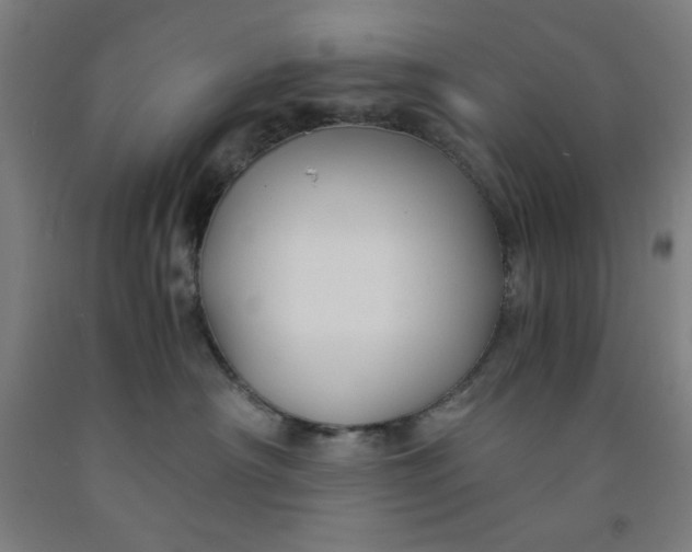 X0000091860430200709261258