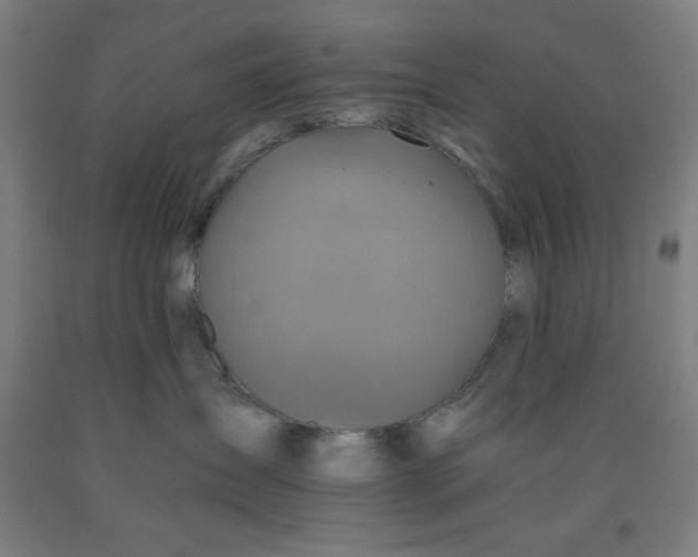 X0000091860431200709261258