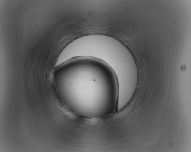 X0000091860432200709261258