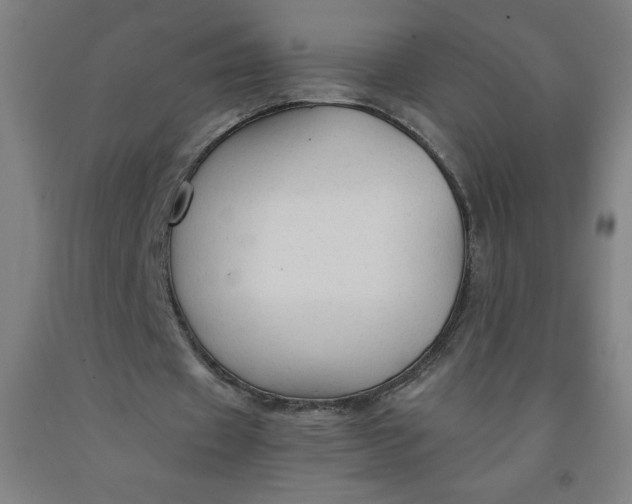 X0000091860433200709261258