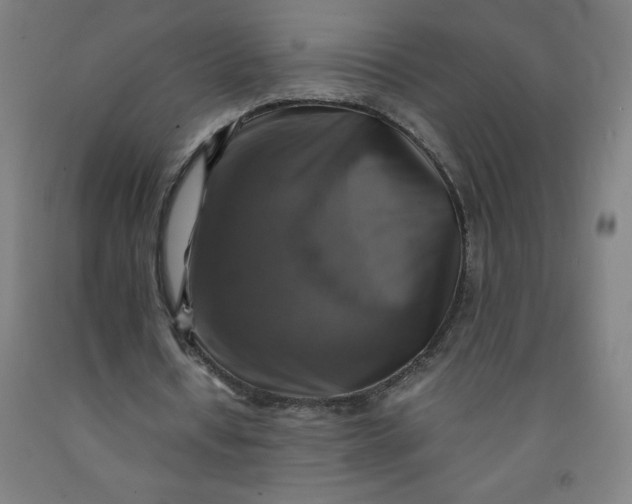 X0000091860434200709261258