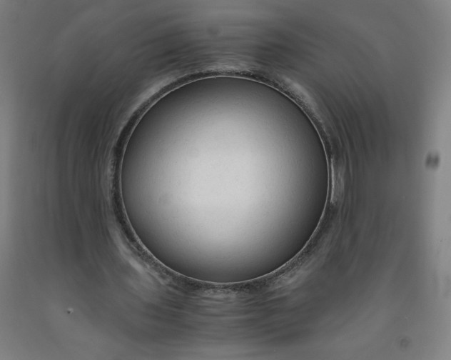 X0000091860435200709261258