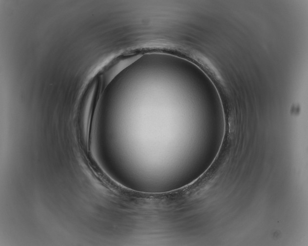 X0000091860436200709261258