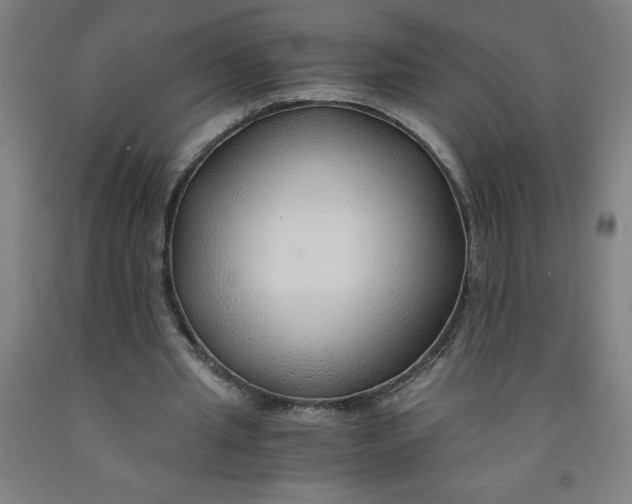 X0000091860437200709261258