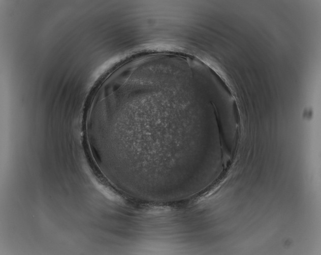 X0000091860438200709261258