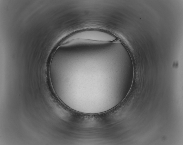 X0000091860439200709261258