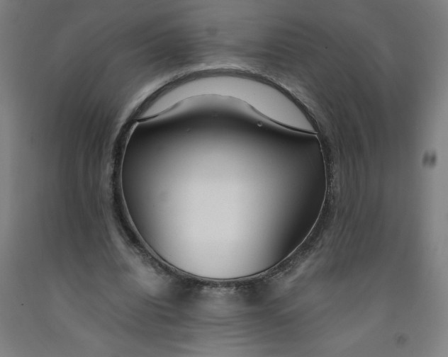 X0000091860440200709261258