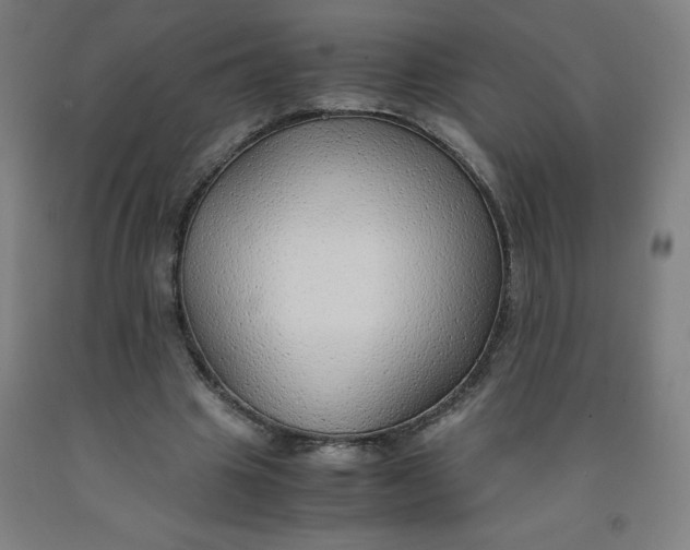 X0000091860441200709261258