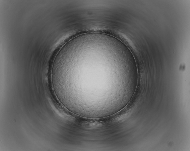 X0000091860443200709261258