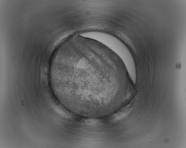 X0000091860444200709261258