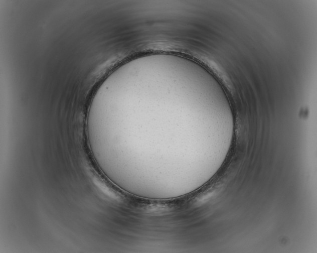 X0000091860445200709261258