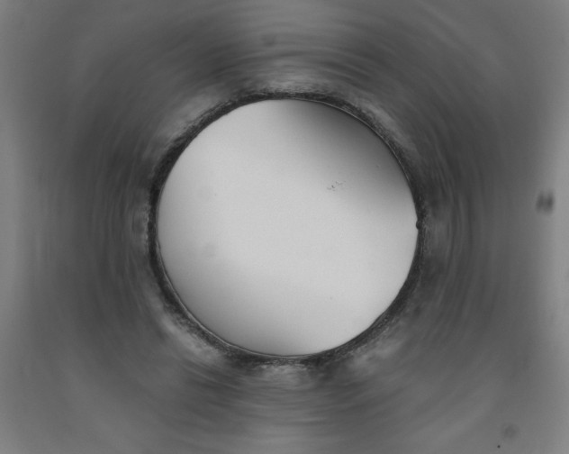 X0000091860446200709261258