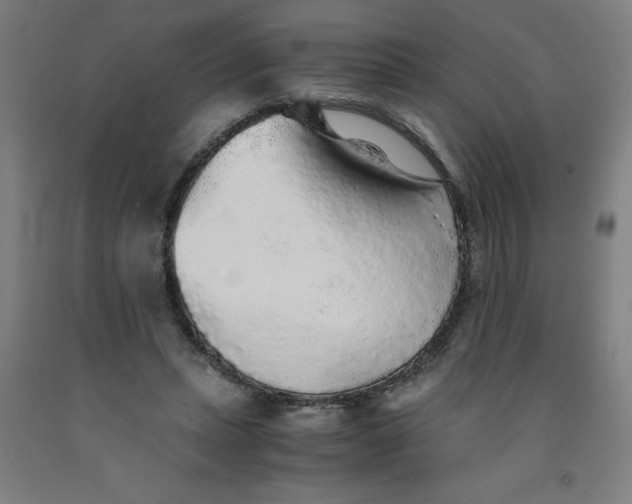 X0000091860447200709261258